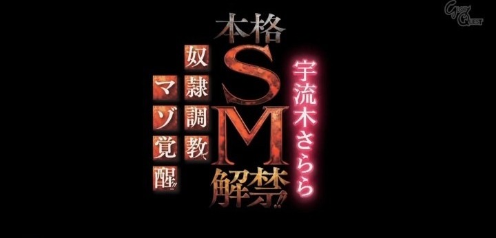 公式無料サンプル 6秒時点